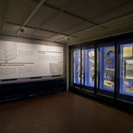 Museum exhibition lighting